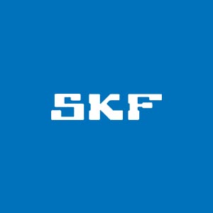 Vòng bi SKF